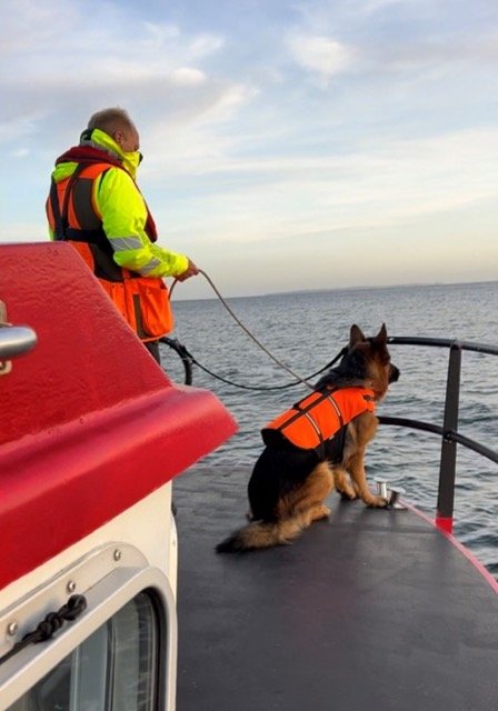 Billede 2 - 02-07-25.jpg