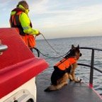 Billede 2 - 02-07-25.jpg