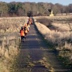 Billede1 - 26-06-24.jpg