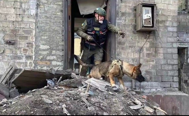 Billede2 - 25-06-24.jpg