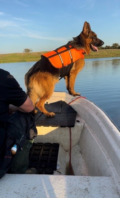 Billede2 - 26-06-24.jpg