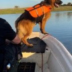 Billede2 - 26-06-24.jpg