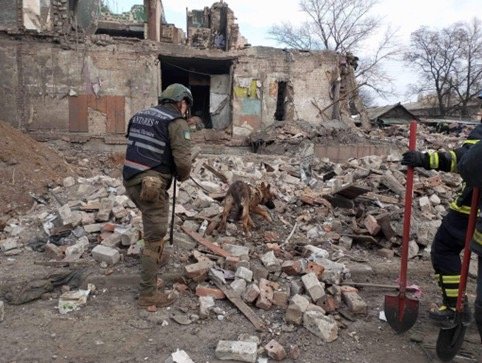 Billede3 - 25-06-24.jpg