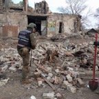 Billede3 - 25-06-24.jpg